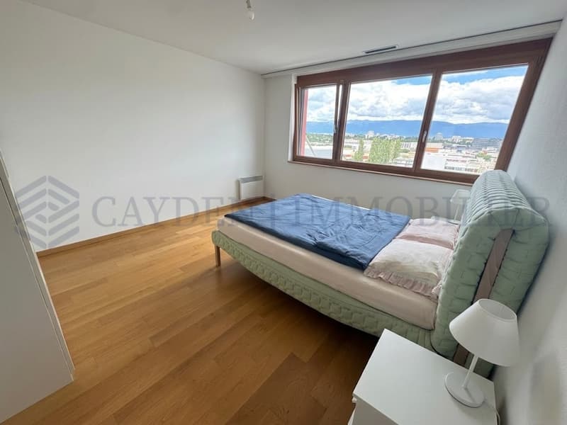 Superbe attique 5 pièces à Carouge - Opportunité rare (8)
