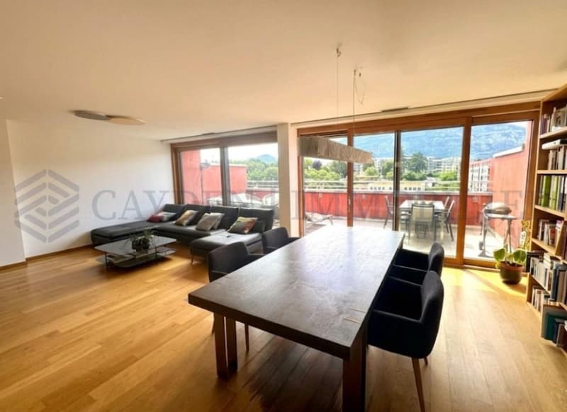 Superbe attique 5 pièces à Carouge - Opportunité rare (6)