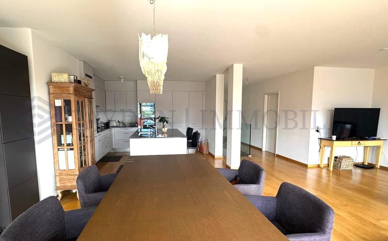Superbe attique 5 pièces à Carouge - Opportunité rare (4)