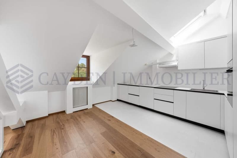 Exclusivité !!!! Beau 4 pièces entièrement rénové dans une bâtisse de charme. (3)