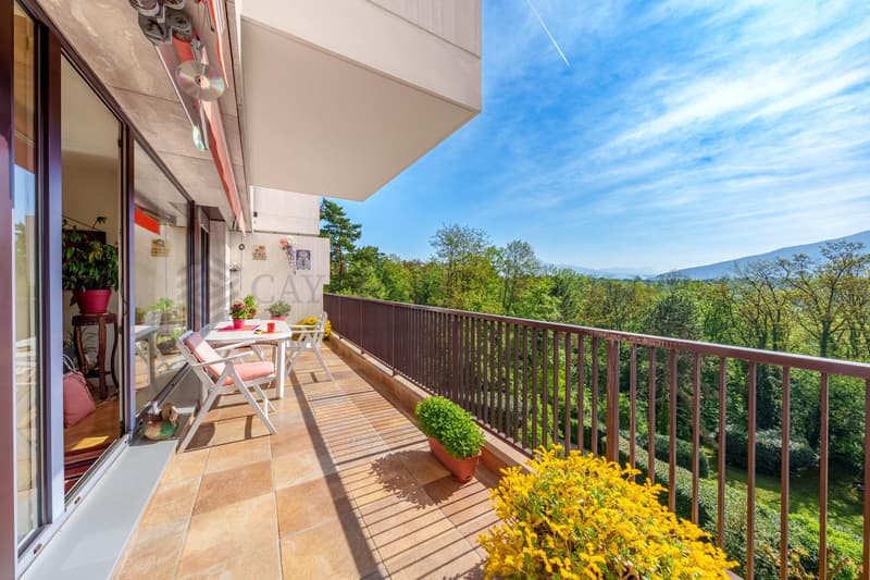 Exclusivité ! Superbe 5 pièces traversant avec vue dégagée ! (2)