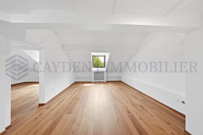 Exclusivité !!!! Beau 4 pièces entièrement rénové dans une bâtisse de charme. (5)
