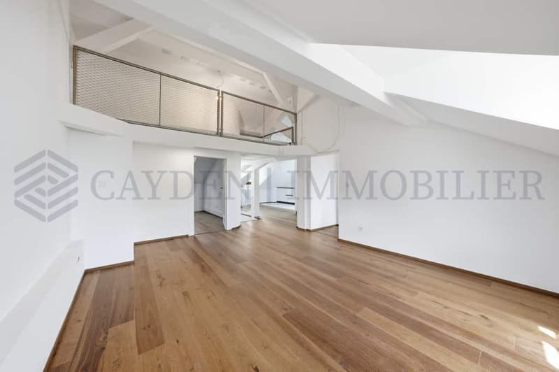 Exclusivité !!!! Beau 4 pièces entièrement rénové dans une bâtisse de charme. (2)