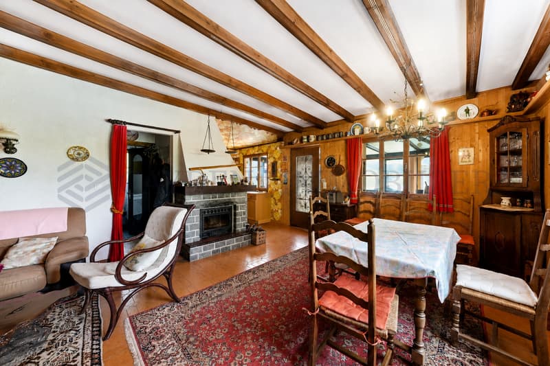Chalet authentique, vue panoramique sur les montagnes (12)