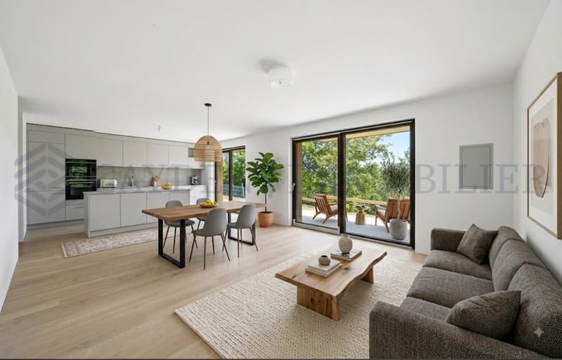 4 PIèces rez-de-jardin vue magnifique ( Rez inférieur) - Lot 2.01 (1)