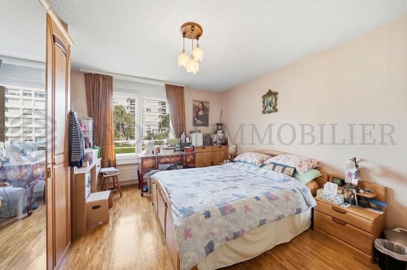 En exclusivité ! Charmant 5 pièces au coeur d'Onex (10)