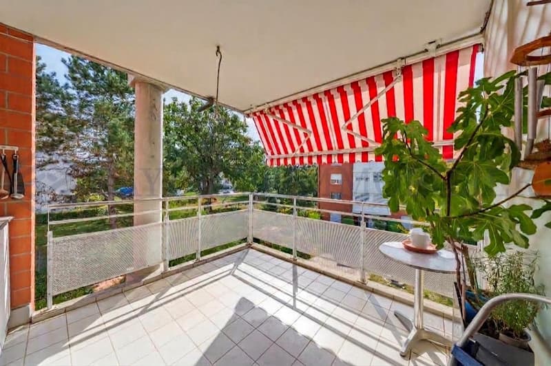 En exclusivité ! Charmant 5 pièces au coeur d'Onex (5)