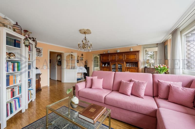 En exclusivité ! Charmant 5 pièces au coeur d'Onex (4)