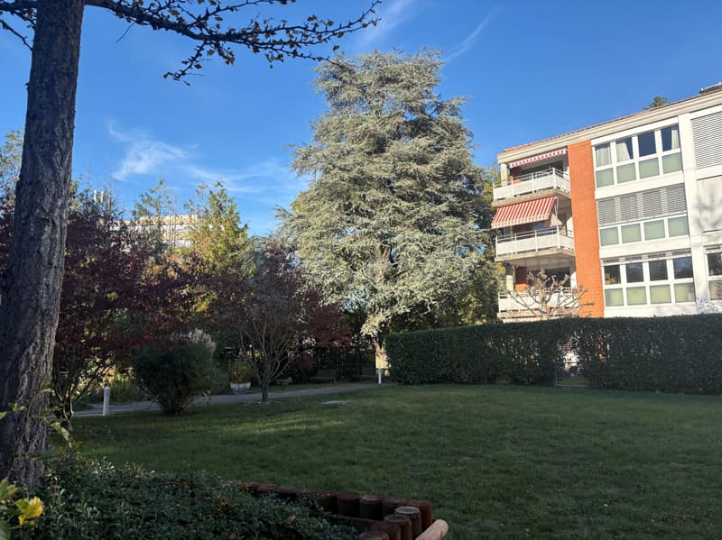 En exclusivité ! Charmant 5 pièces au coeur d'Onex (1)