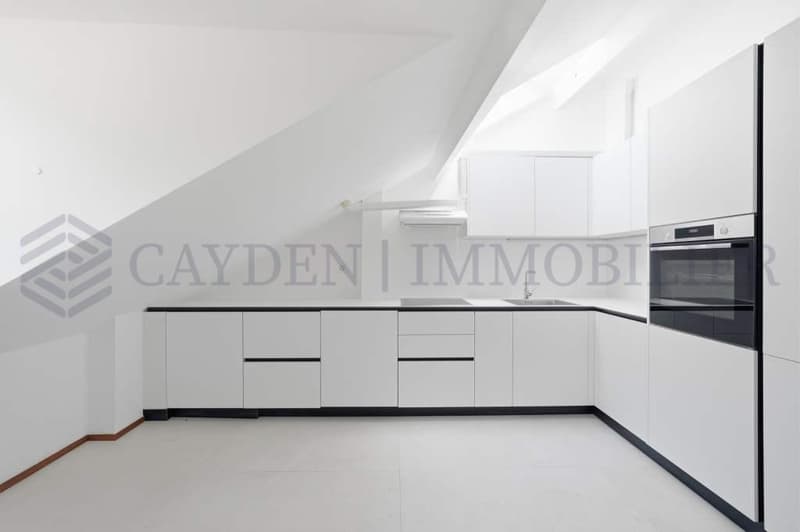 Exclusivité !!!! Beau 4 pièces entièrement rénové dans une bâtisse de charme. (3)