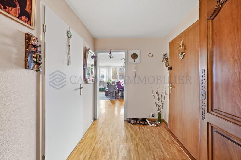 En exclusivité ! Charmant 5 pièces au coeur d'Onex (6)