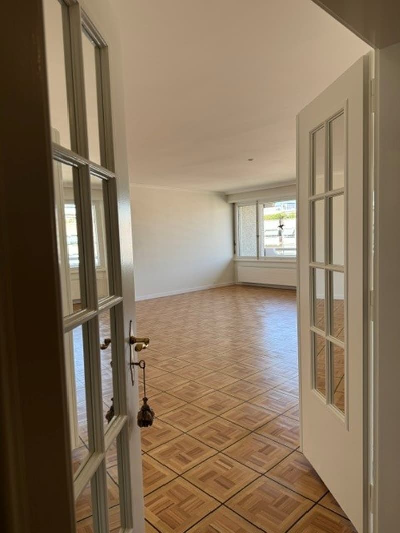 Spacieux appartement de 6 pièces avec balcon au 7ème étage – Route de Florissant, Genève (7)