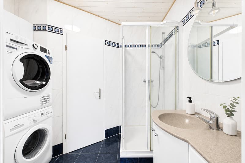 Prächtiges Dachgeschoss mit ausgebauter Mezzanine (7)