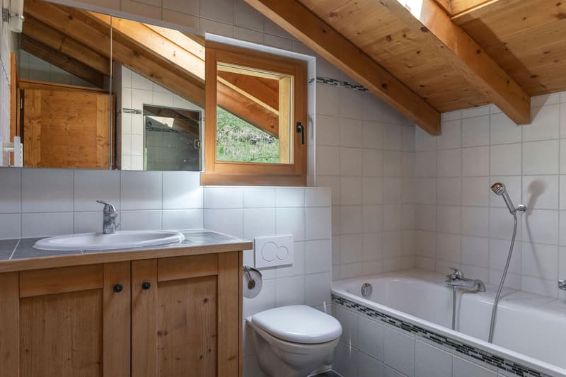 South-facing house with 4.5 rooms (7)