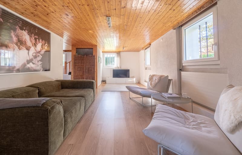 Couches, coffee table, television, white radiator, carpeted floors, wood ceiling
