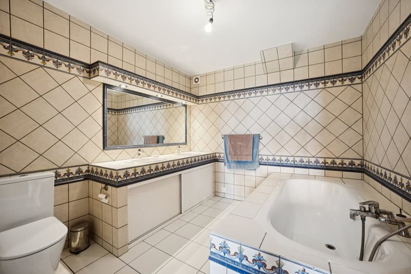 white and blue tiles, bathtub with separate shower, double vanity with sinks and mirror, toilet, towel rack