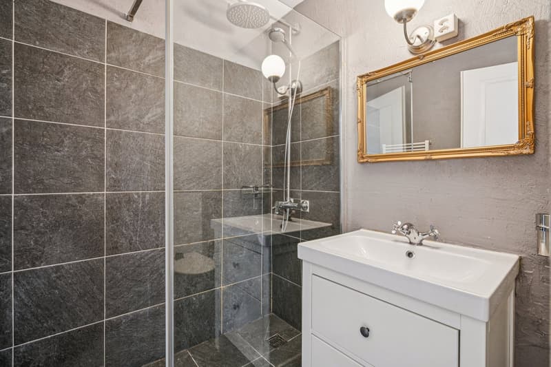 Charming 2.5-room apartment in St-Prex (6)