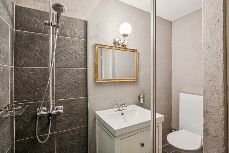 Charming 2.5-room apartment in St-Prex (7)