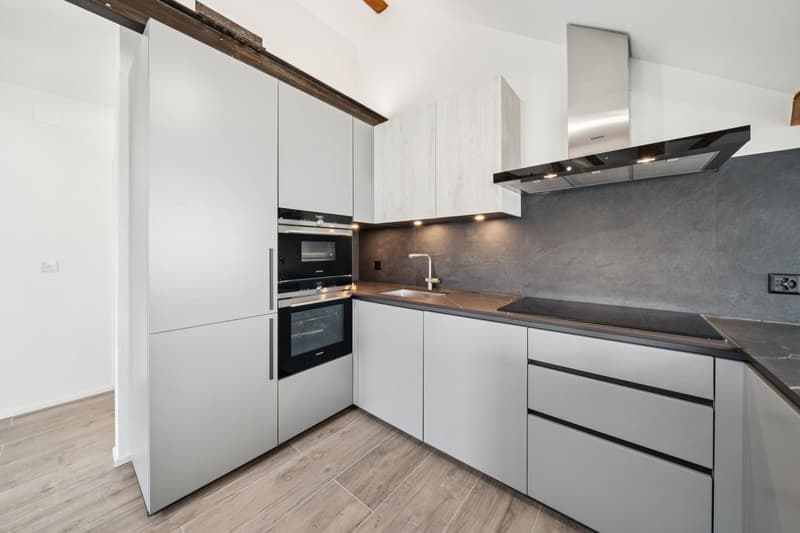 198 m2 apartment with balcony and two outdoor parking spaces (4)