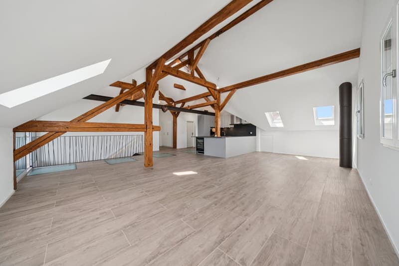 198 m2 apartment with balcony and two outdoor parking spaces (5)