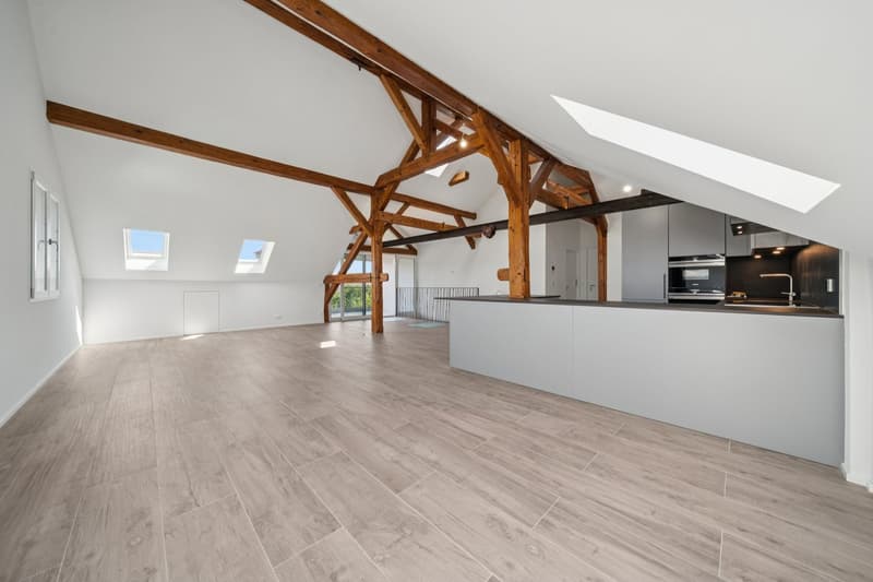 198 m2 apartment with balcony and two outdoor parking spaces (7)
