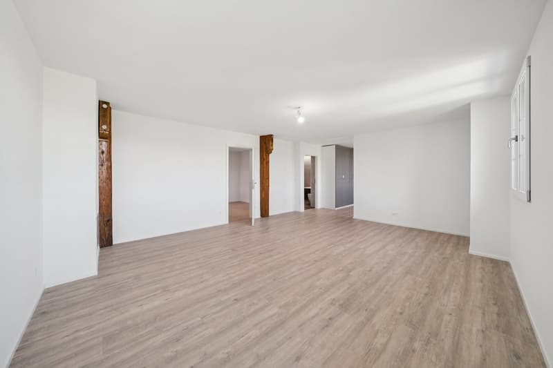 198 m2 apartment with balcony and two outdoor parking spaces (8)