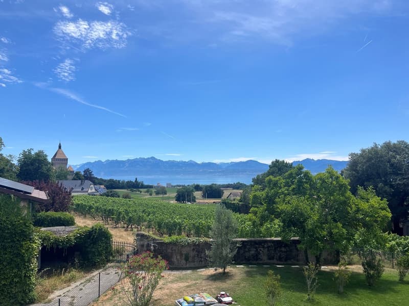 Vufflens-le-Château (9 minutes de Morges) : à louer magnifique appartement récent de 4,5 pièces (1)