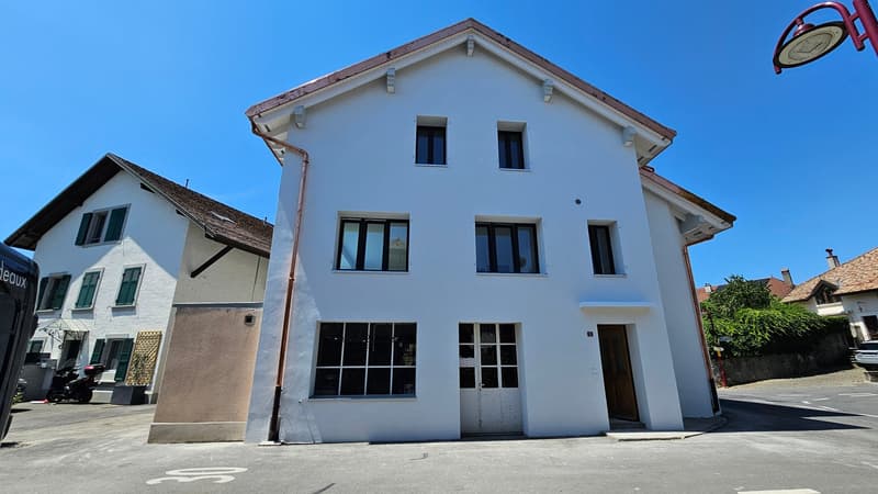 St-Saphorin-sur-Morges (7 Minuten von Morges): zur Miete wunderschönes renoviertes 4,5-Zimmer-Apartment (18)