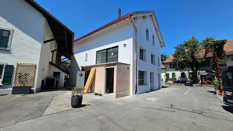 St-Saphorin-sur-Morges (7 Minuten von Morges): zur Miete wunderschönes renoviertes 4,5-Zimmer-Apartment (19)