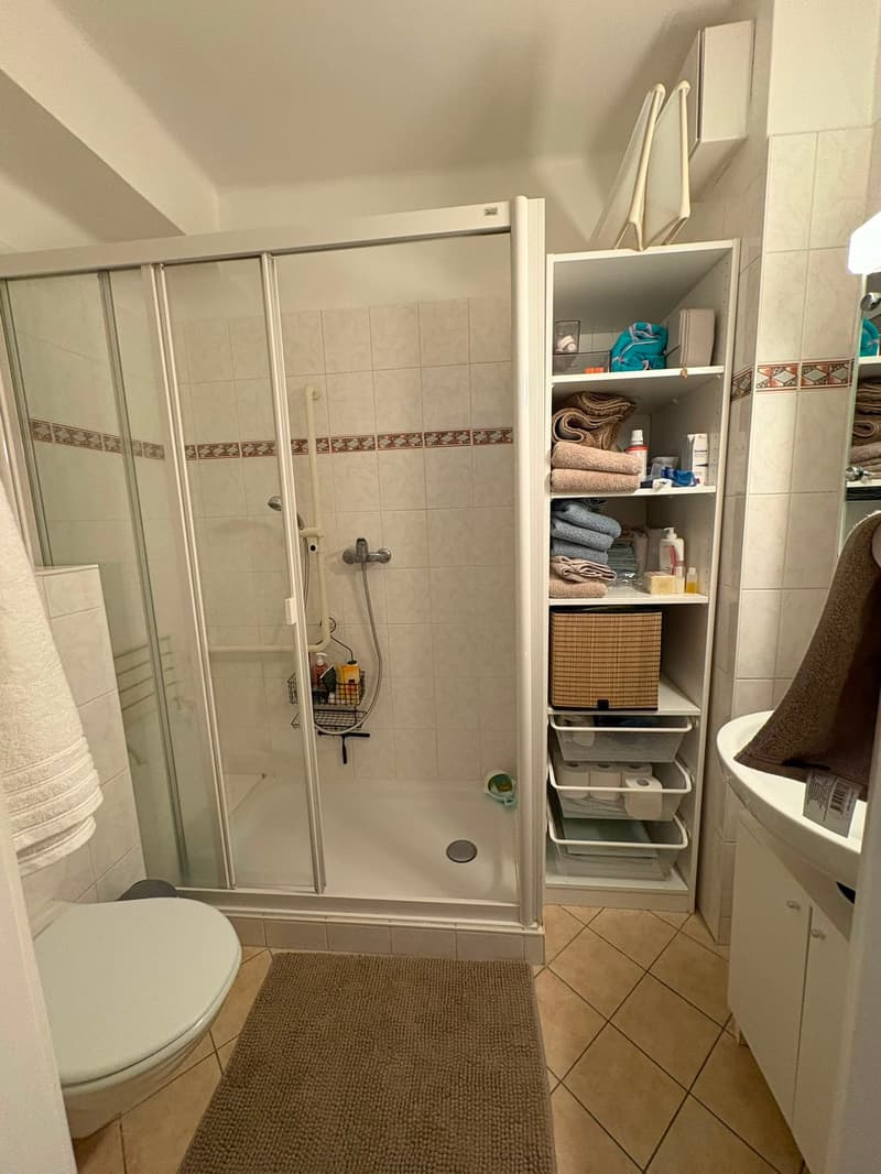 Morges, Stadtzentrum: schöne 3,5-Zimmer-Wohnung mit Balkon zu vermieten (4)