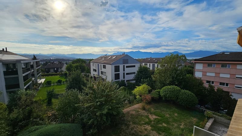 Echandens : proche de toutes commodités, à louer charmant appartement de 4 pièces (15)