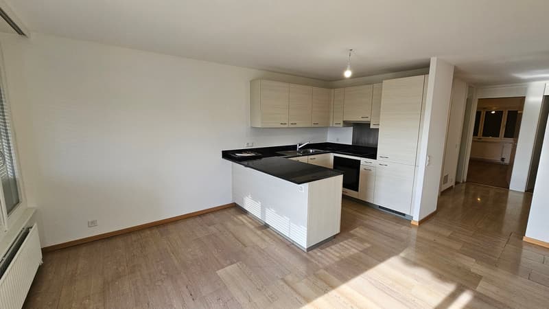Echandens : proche de toutes commodités, à louer charmant appartement de 4 pièces (3)