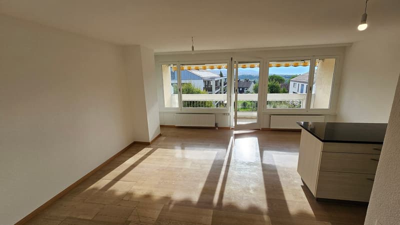 Echandens : proche de toutes commodités, à louer charmant appartement de 4 pièces (6)