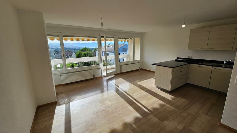 Echandens : proche de toutes commodités, à louer charmant appartement de 4 pièces (1)