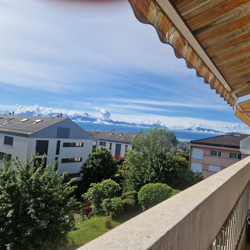 Echandens : proche de toutes commodités, à louer charmant appartement de 4 pièces (9)