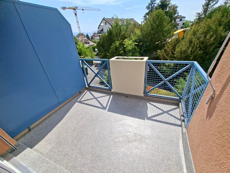 Morges, à louer magnifique appartement de 3,5 pièces lumineux avec balcon (26)