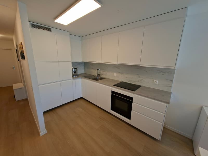 Morges, à louer magnifique appartement de 3,5 pièces lumineux avec balcon (14)