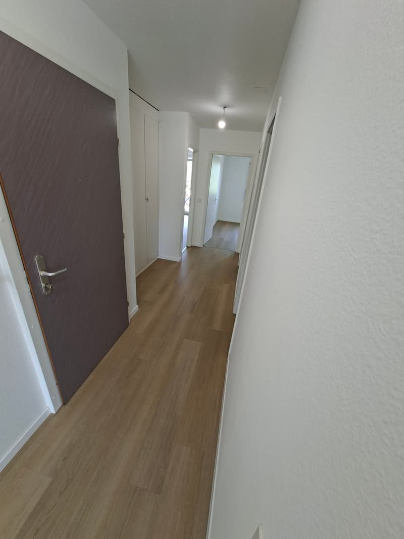 Morges, à louer magnifique appartement de 3,5 pièces lumineux avec balcon (16)