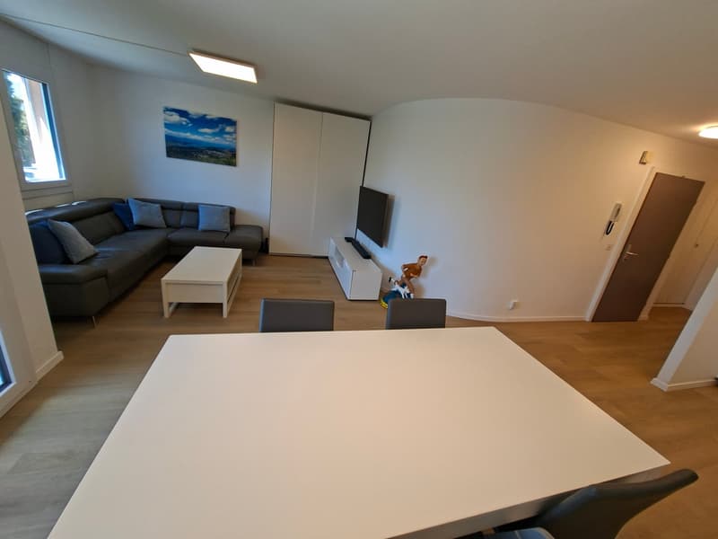 Morges, à louer magnifique appartement de 3,5 pièces lumineux avec balcon (11)