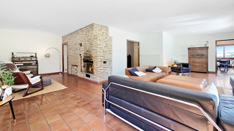 Maison T6 exposée plein sud sur près de 8 000 m² à Monnetier-Mornex (5)