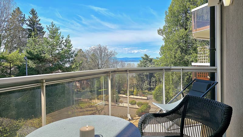 Renovated 2-room apartment in Évian-les-Bains, Grottes sector (5)