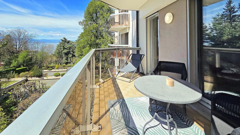 Renovated 2-room apartment in Évian-les-Bains, Grottes sector (3)