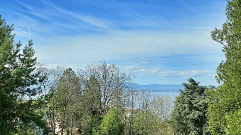 Renovated 2-room apartment in Évian-les-Bains, Grottes sector (7)
