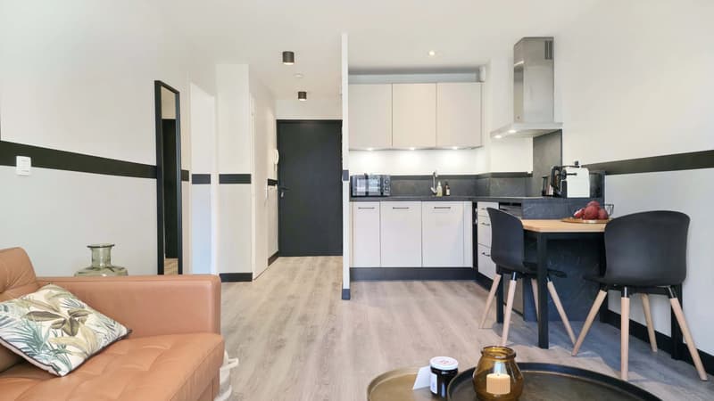 Renovated 2-room apartment in Évian-les-Bains, Grottes sector (8)