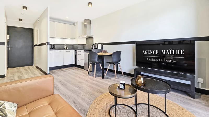 Renovated 2-room apartment in Évian-les-Bains, Grottes sector (2)