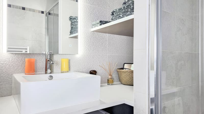 Renovated 2-room apartment in Évian-les-Bains, Grottes sector (12)