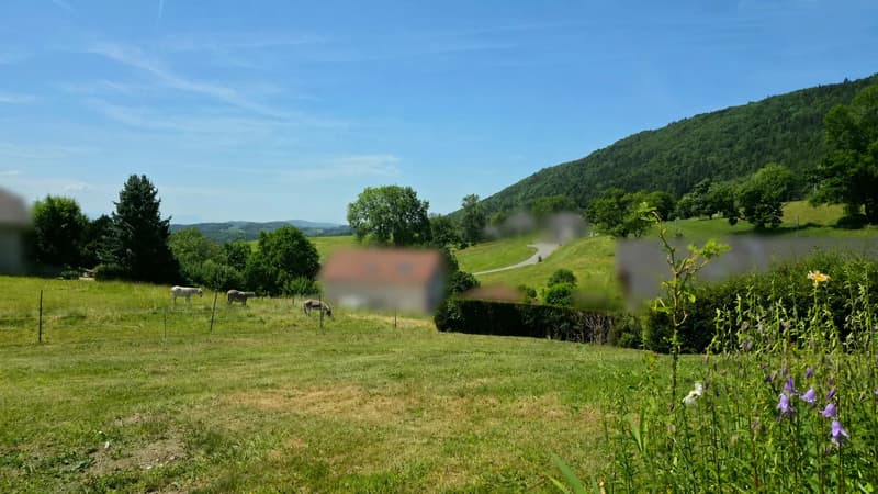 Ideal building plot in Vovray-en-Bornes (2)