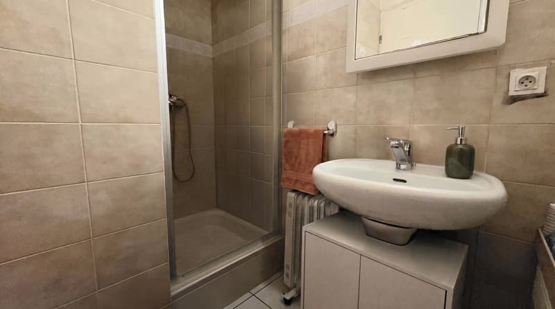 Thonon-les-Bains Morcy: Helles 2-Zimmer-Wohnung mit Terrasse (8)