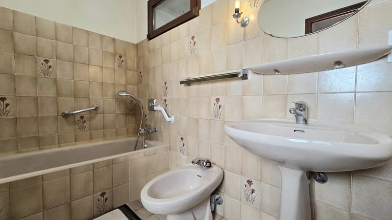Vovray-en-Bornes: Einzelhaus vom Typ 7 mit Garten (12)