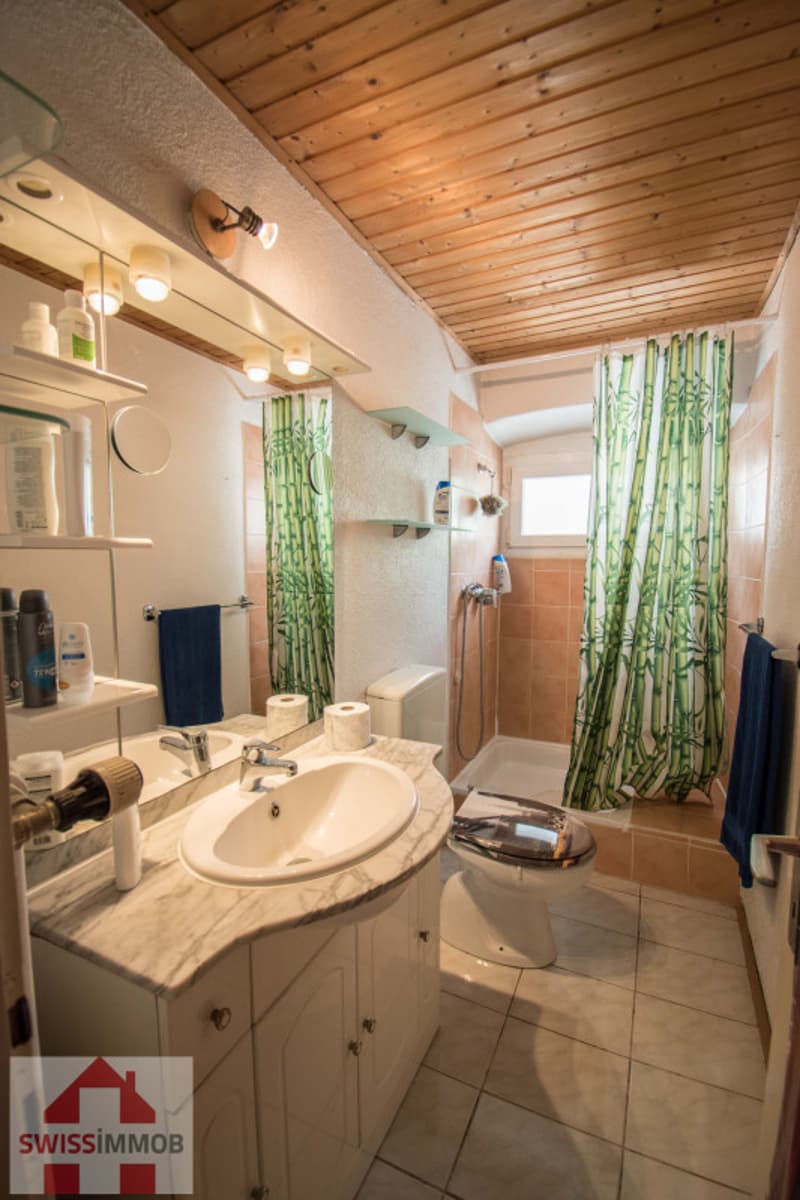 2.5 pièce dans maison ancienne A VETROZ (4)